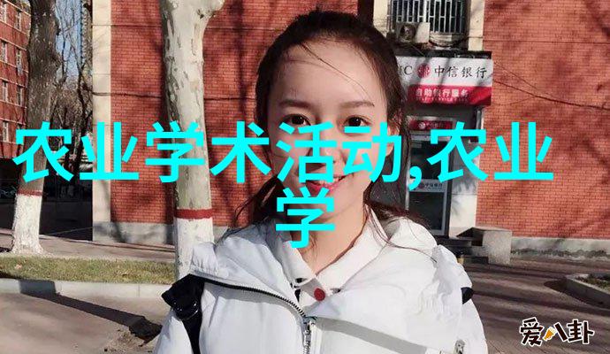 欧美第一会所私人社交俱乐部高端社交场所的奢华体验