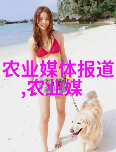 中国工程机械网行业动态与产品探索