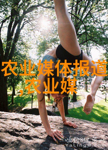 山西阳泉市农机中心岂不知在平定县推进宜机化建设项目时绩效考核之重而吸粪车的运转也是这场考核中的重要一