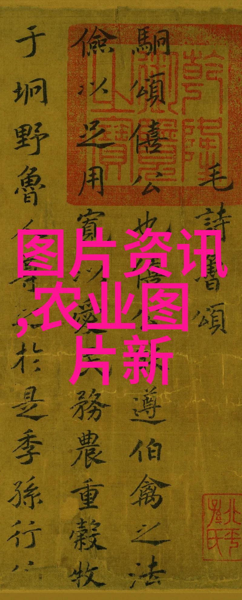 中国热带作物学会科普基地经验交流会暨第三批科普基地评审会召开