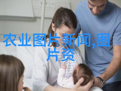 森林里的金丝绒衣裳探索姬菇的奇妙世界