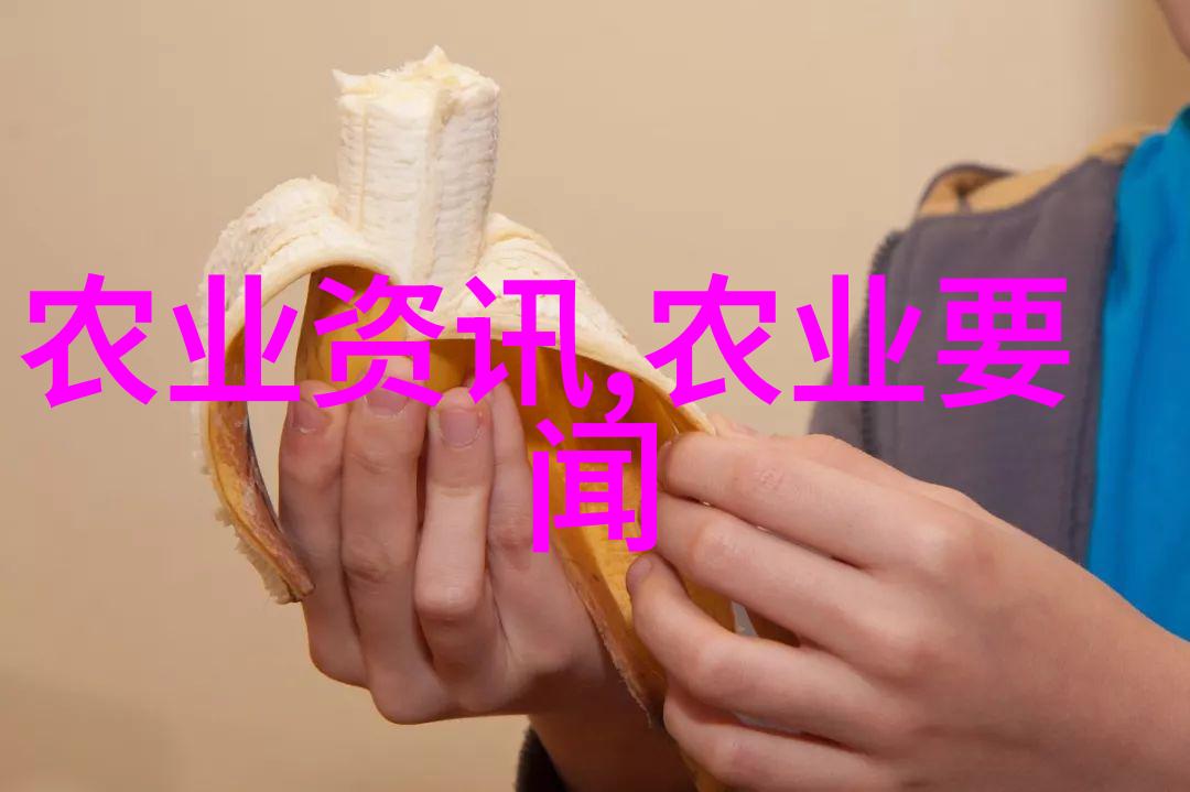 民法典的重大意义法律体系的基石
