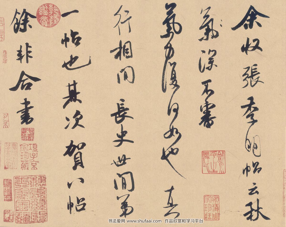 宜昌市农科院水稻种芯科研取得新进展
