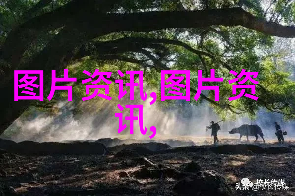 花语之源种子启示录