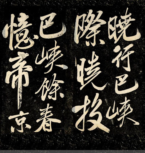 绿茵翠羽大棚花卉种植的艺术与智慧