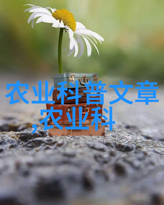揭秘百科之谜世界的每一个角落藏着什么未解之谜
