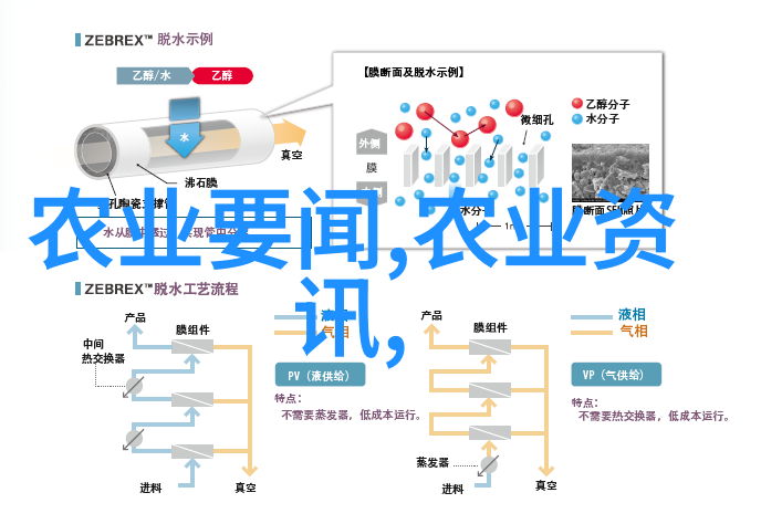 农业专家我是如何在田间里发现一颗金子般的玉米粒的