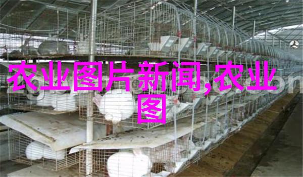盆栽物语录揭秘不同季节适宜的植物搭配技巧