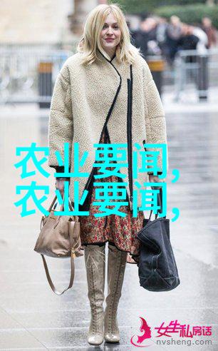 野菜大全 可食用-探索田野一本指南揭秘那些常被忽视的美味