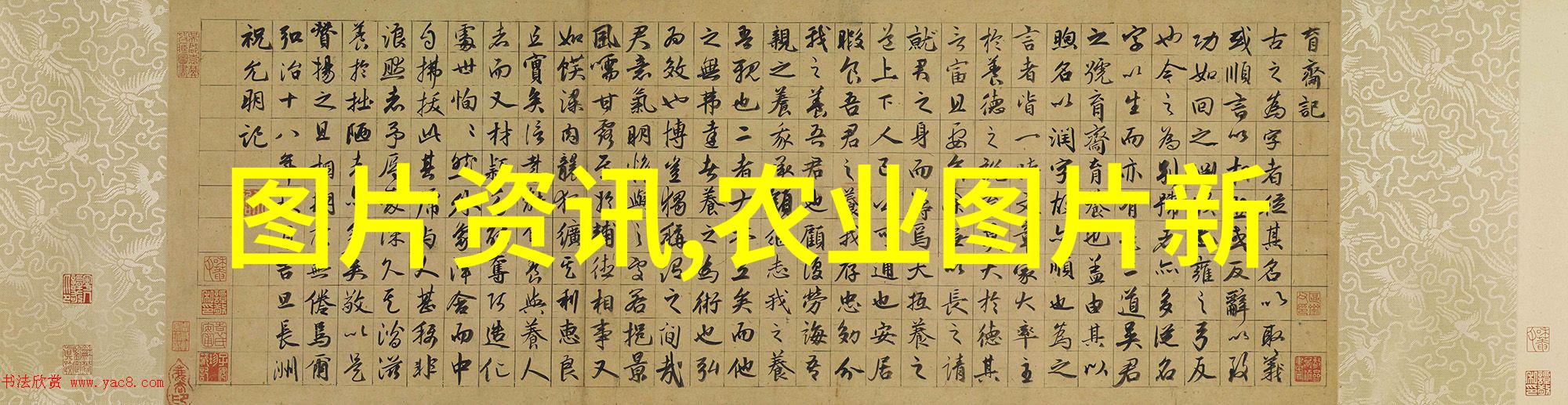 蜂类养殖技术与管理原理研究