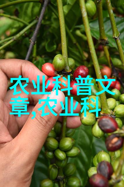 如何正确种植枣树以提高其产量