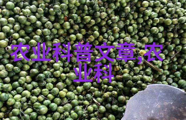最耐阴的十大室内蔬菜-守候阴凉角落揭秘室内最耐阴蔬菜的秘密
