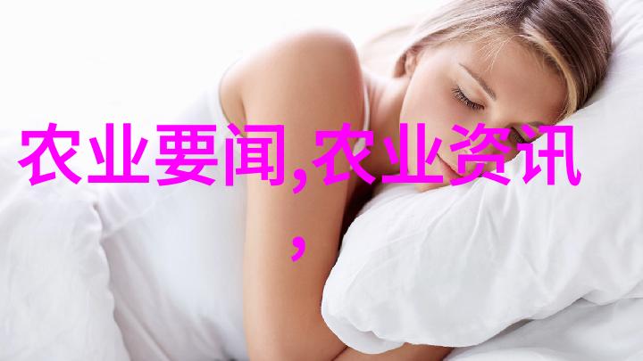 水利水电技术-河流的智慧新时代水利工程管理与发展策略