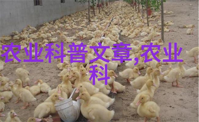 水果种子种植自然滋养的水果之谜