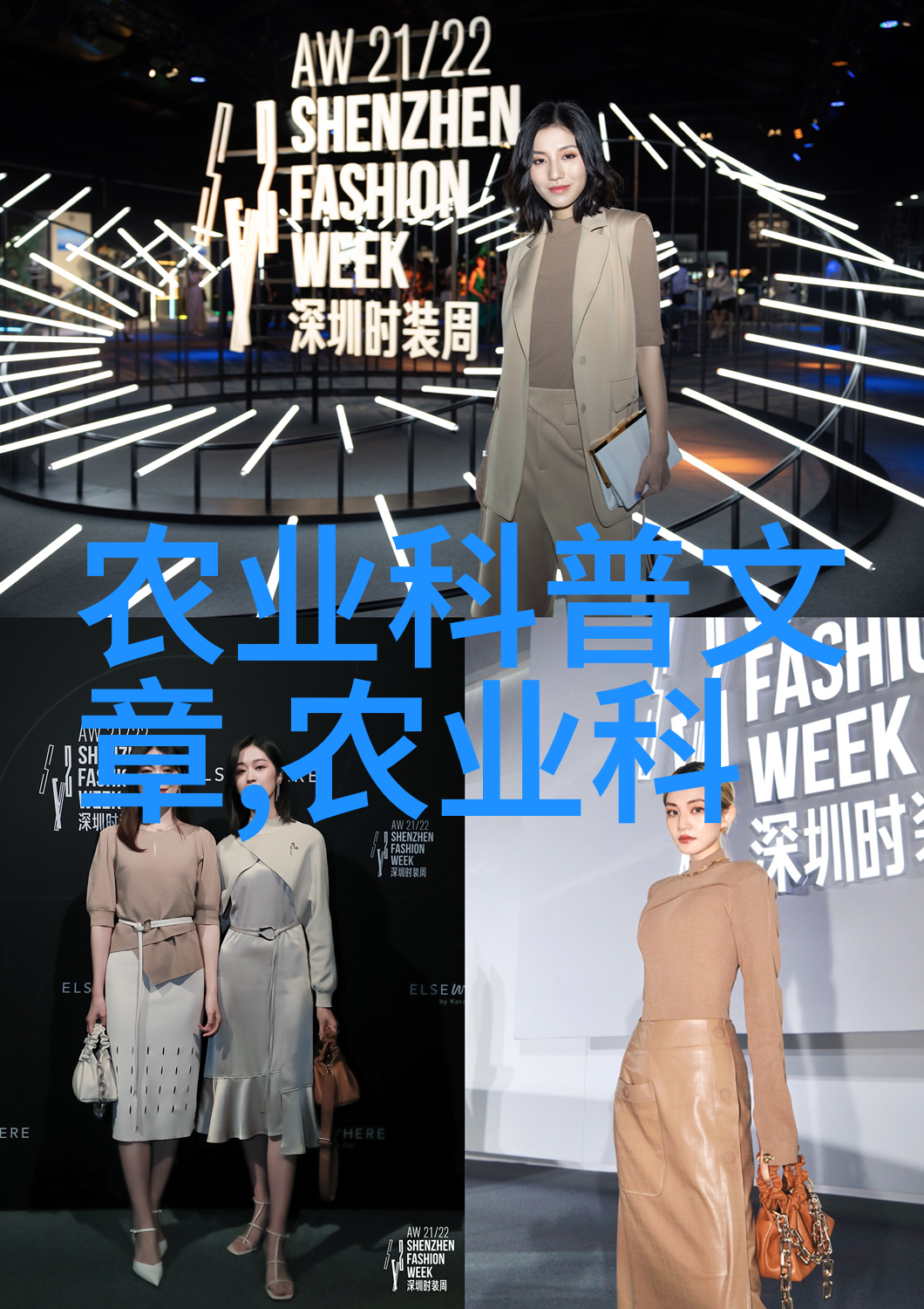 十公分五角枫价格表精选园艺植物的性价比之选