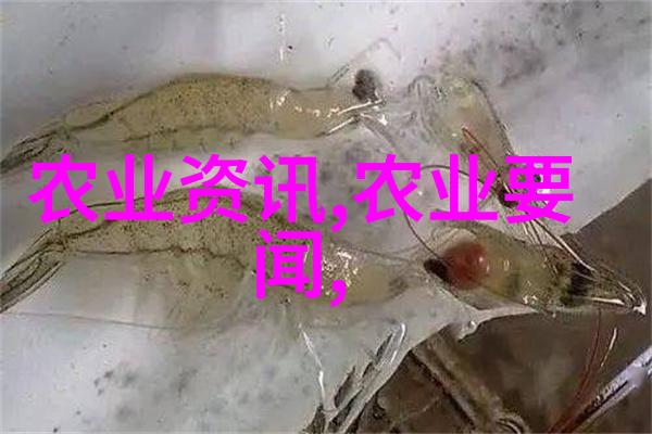 花卉植物技术-绽放美学探索花卉植物栽培与养护的高科技