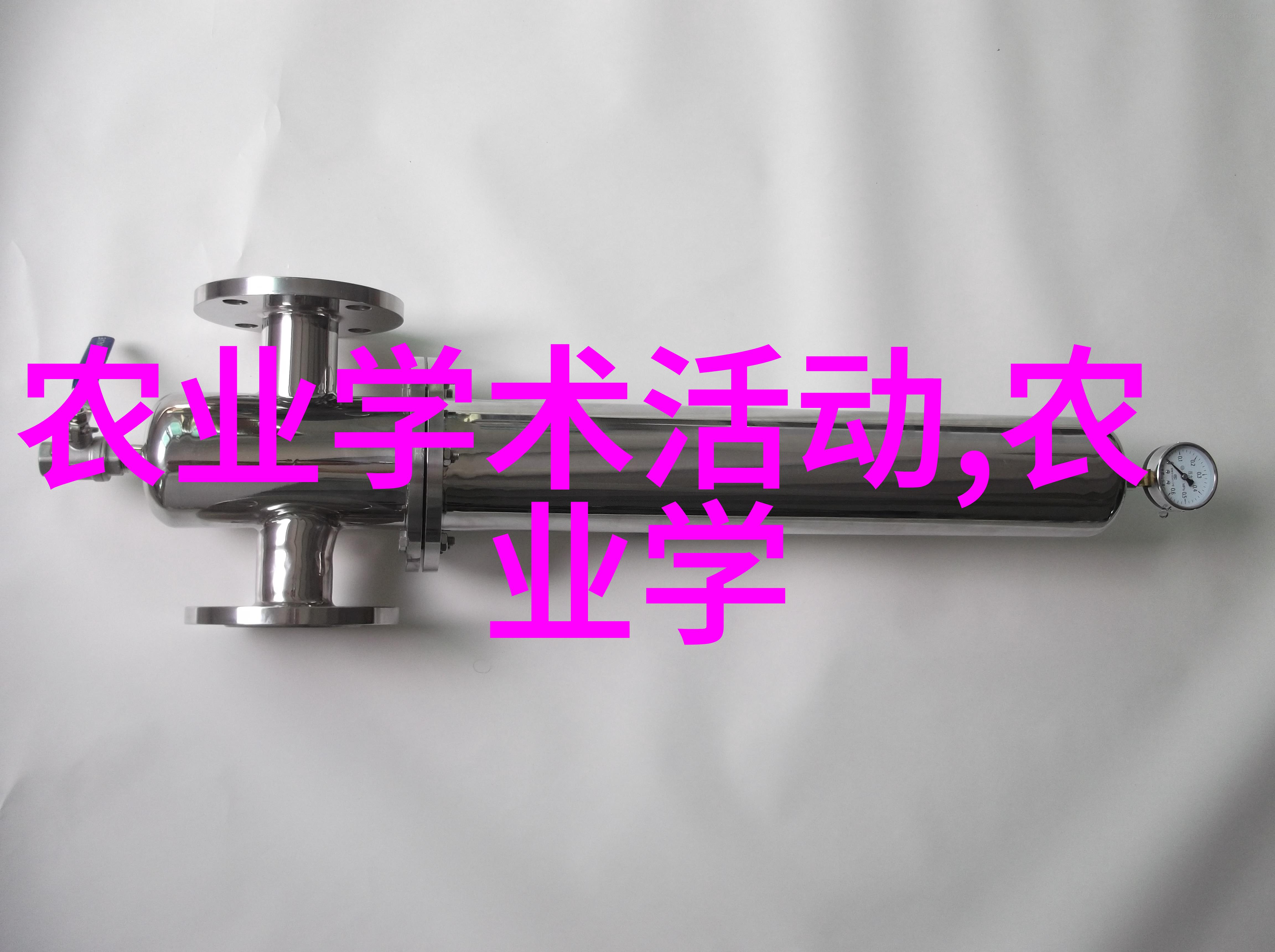 秋天色彩如何为家中增添秋季木本花卉的温馨氛围