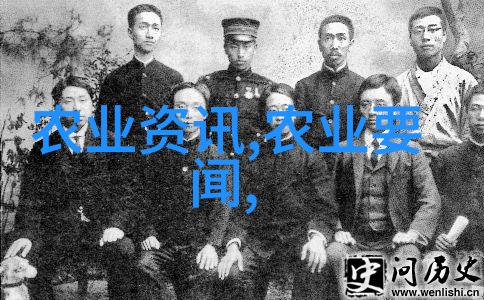 绿意盎然的艺术品1000种多肉植物的收藏技巧