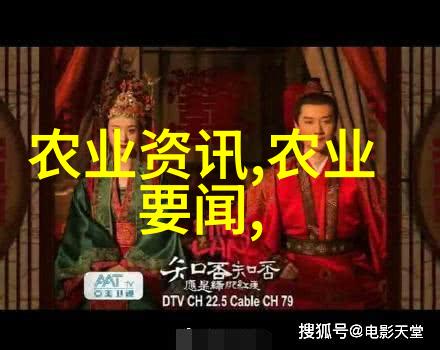 sao9999-深度探索sao9999揭秘虚拟现实的未来世界