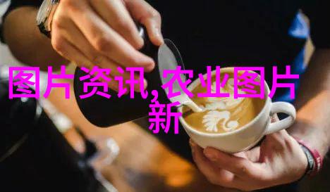 解读2022新版民法典完整版法律革新与社会责任的双刃剑