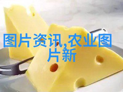 福建建宁县食用菌绽放致富花