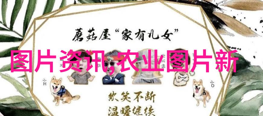 香草风华18公分天竺桂的市场迷人
