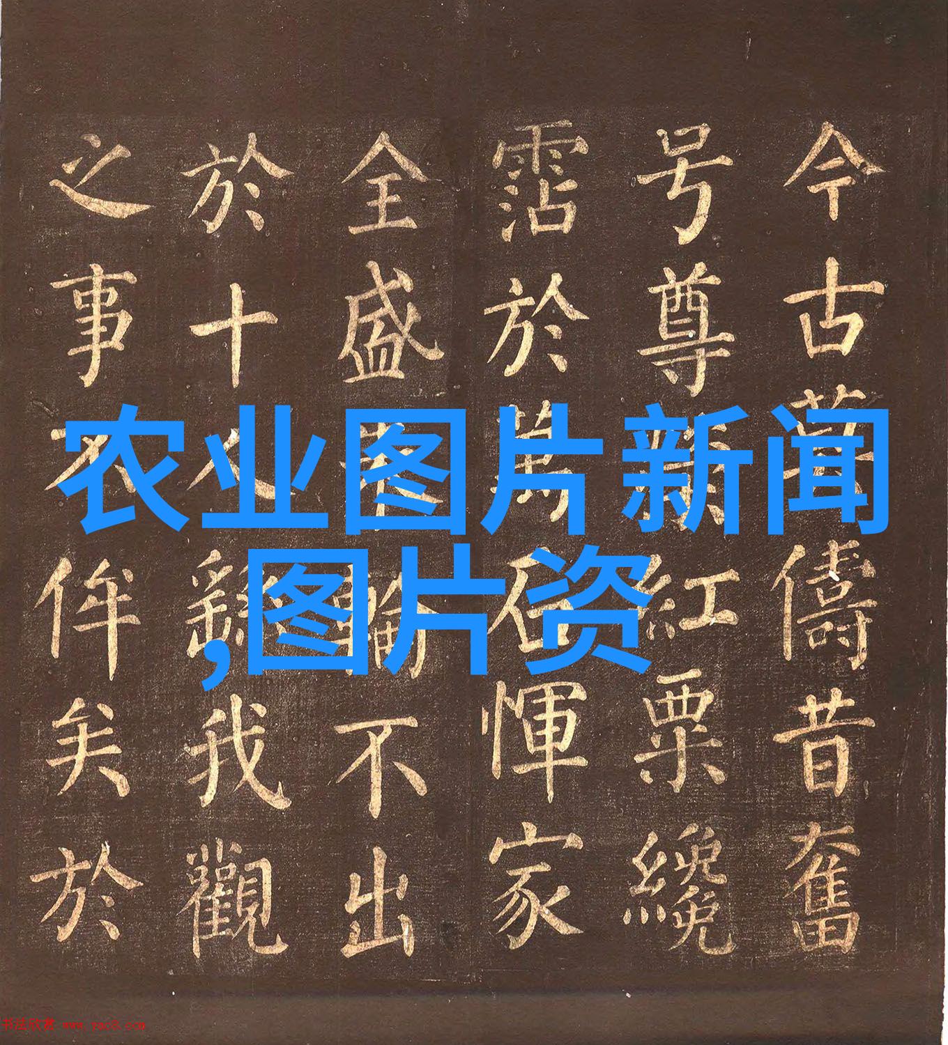 乡村风光中的绿色宝库2亩地小型养殖场的美好生活