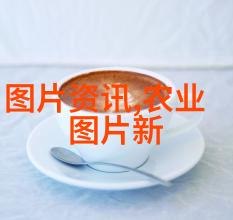 鲜花批发-探索最便宜的鲜花批发地