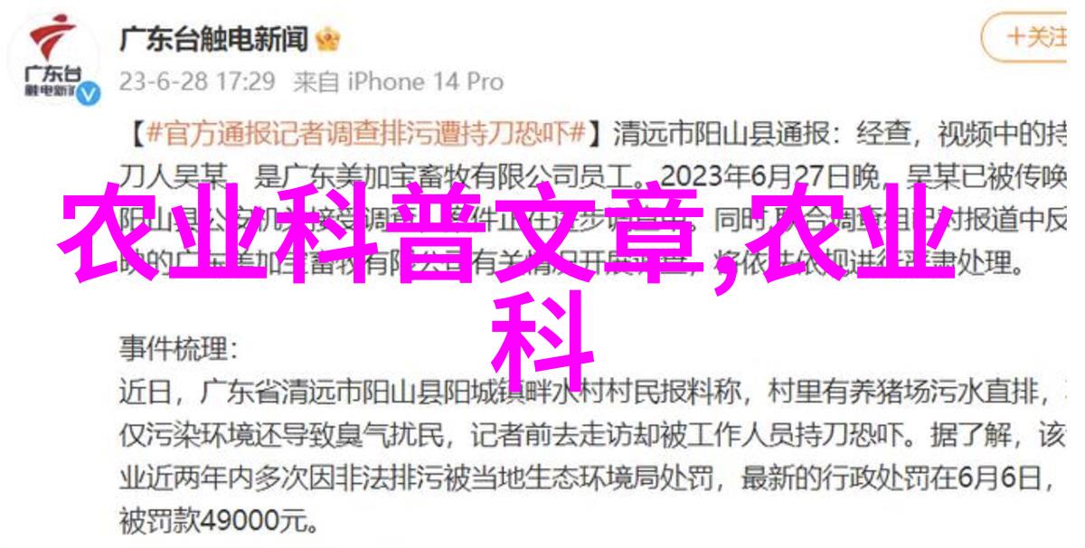 远方山林的秘密药草