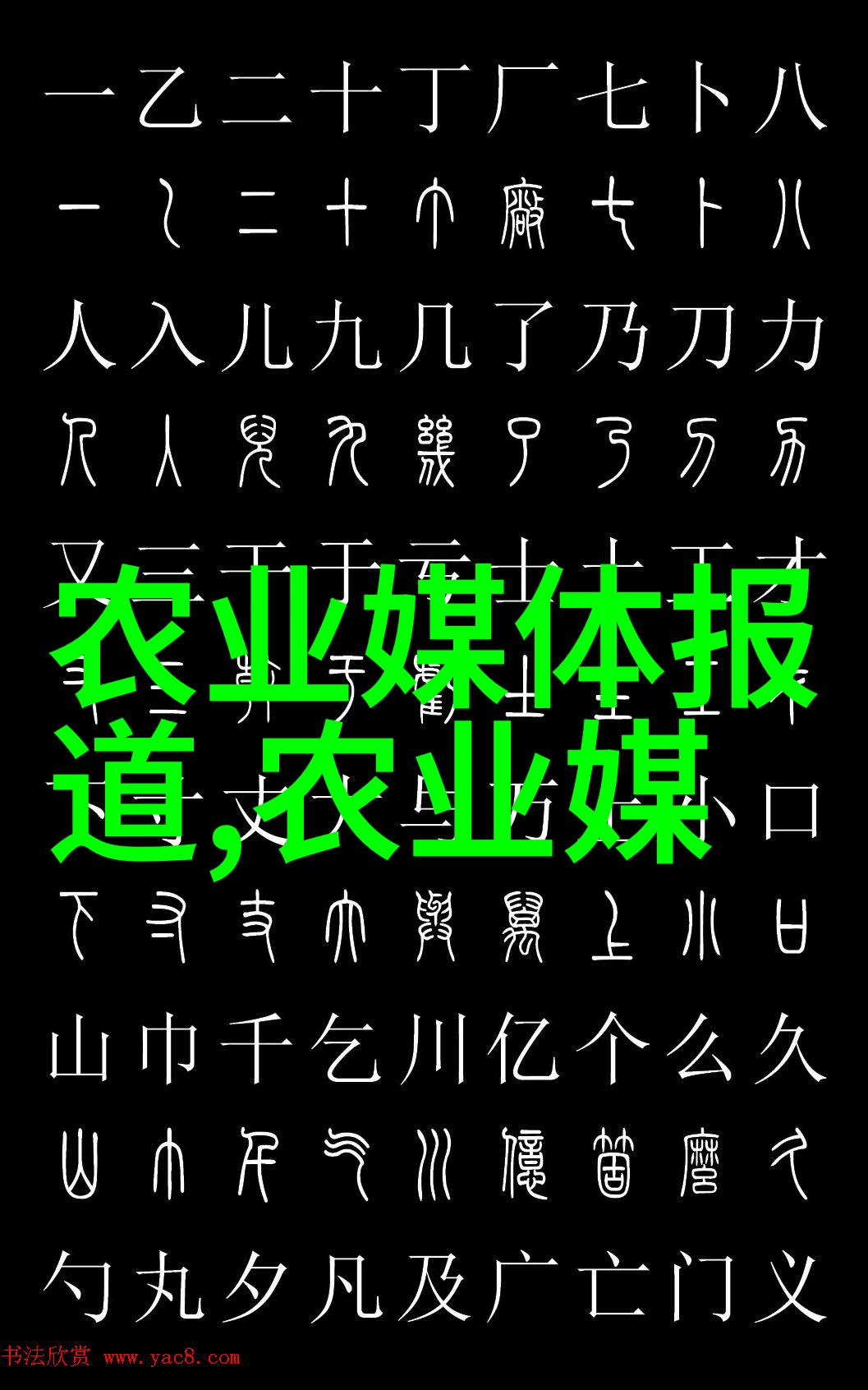 茶叶的魅力