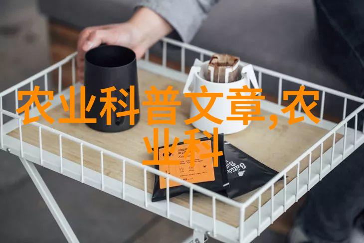 选花定宅揭秘庭院中最能增旺气的花卉