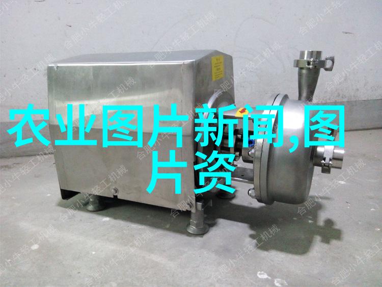 园艺新手如何选择适合自己气候的植物种类
