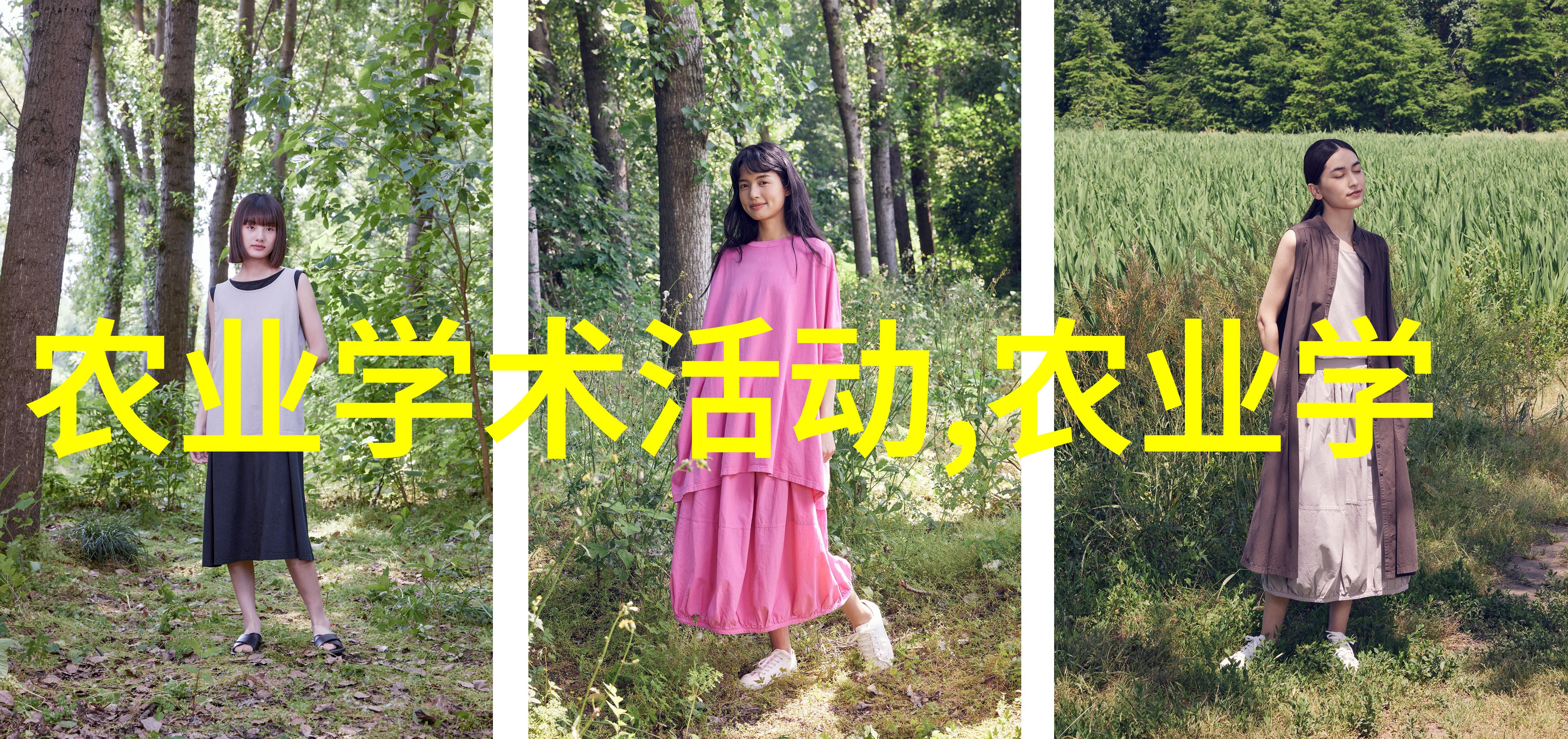 主题亲手种植100种树木一场绿意盎然的冒险