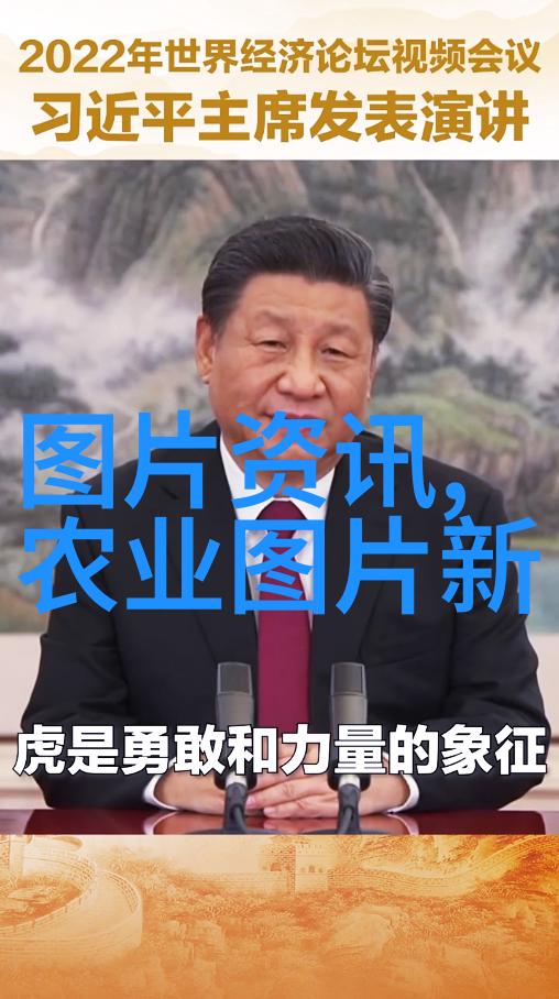 温暖肠胃的十佳草本配方揭秘养胃茶的秘密力量