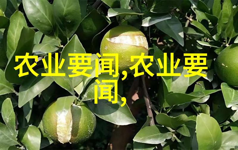 探索中国药材种植基地从川茯苓到白术的生长秘境