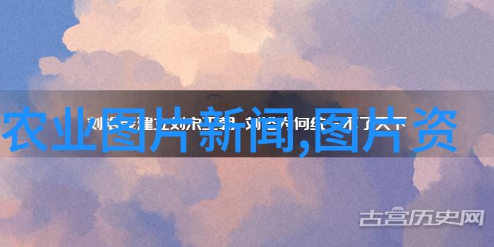 重考生与73话丹雅的驯服之旅