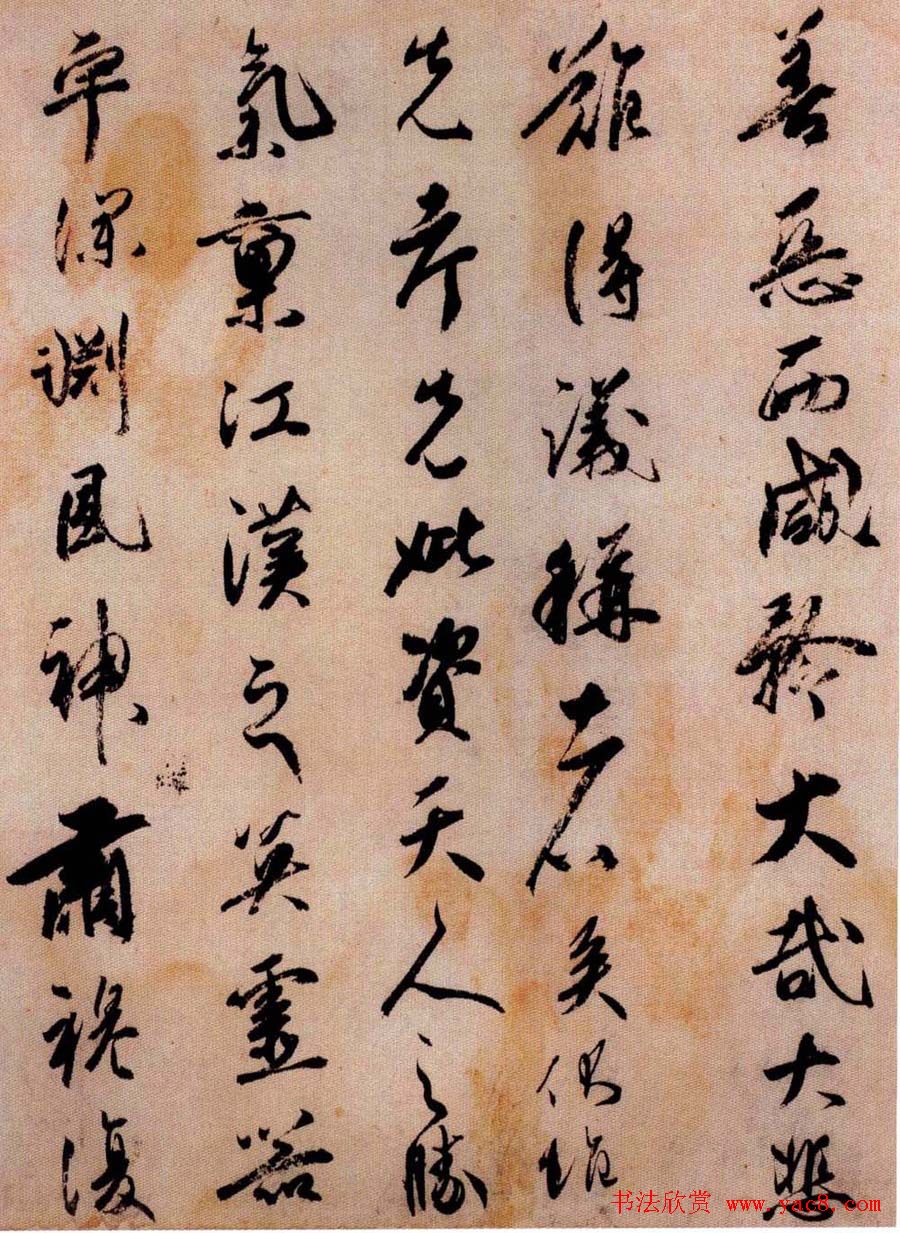从土到宝大棚种菜的逆袭之道