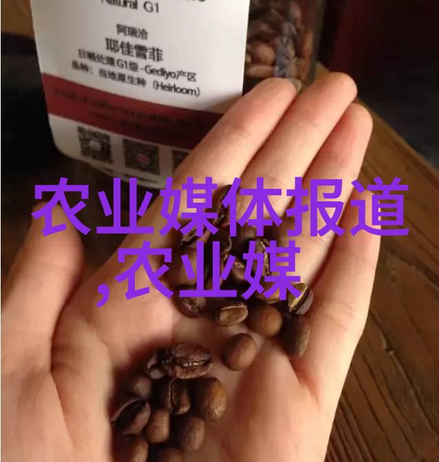 数字媒体技术助力考公务员提升信息处理能力与职业竞争力