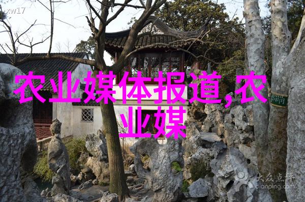 土蜜蜂养殖和管理技术-精准引领甜蜜蜂群土蜜蜂养殖与管理的高效策略
