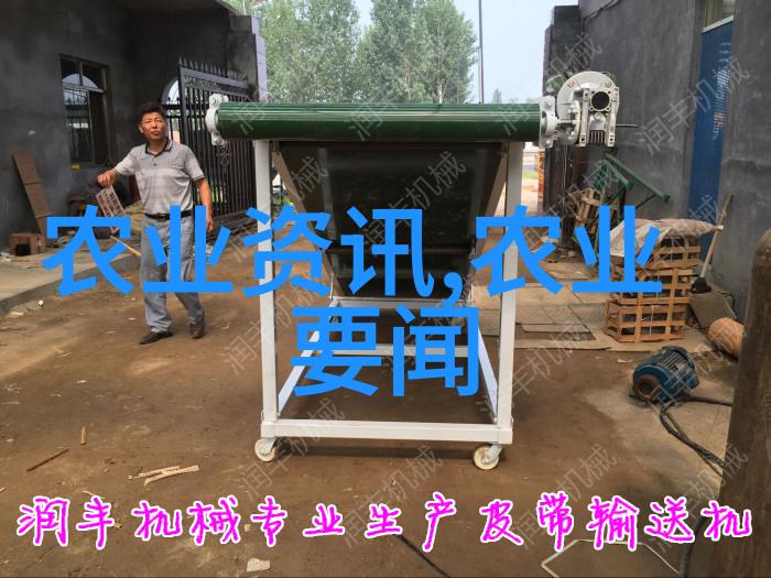 泥鳅养殖技术-深耕浅种提升泥鳅养殖效率的关键技巧