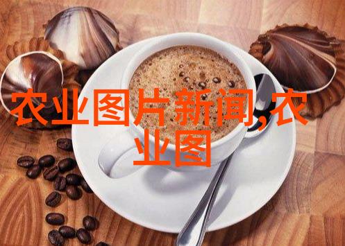 法规之舞二十条法律原则的抽象演绎