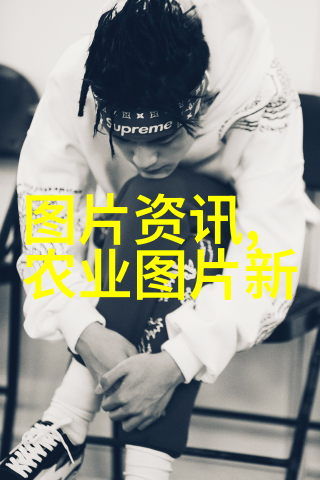 阳台友好水果种植指南适合室内外种植的热带和亚热带水果