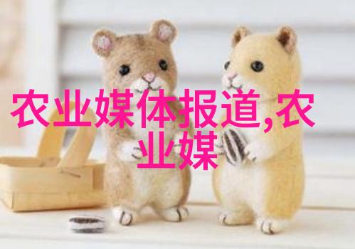 农民种什么才能挣钱-丰收金路揭秘高收益农作物的种植秘诀