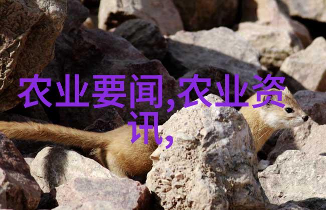 黄河边畔的秘密药方揭开山西中药之谜