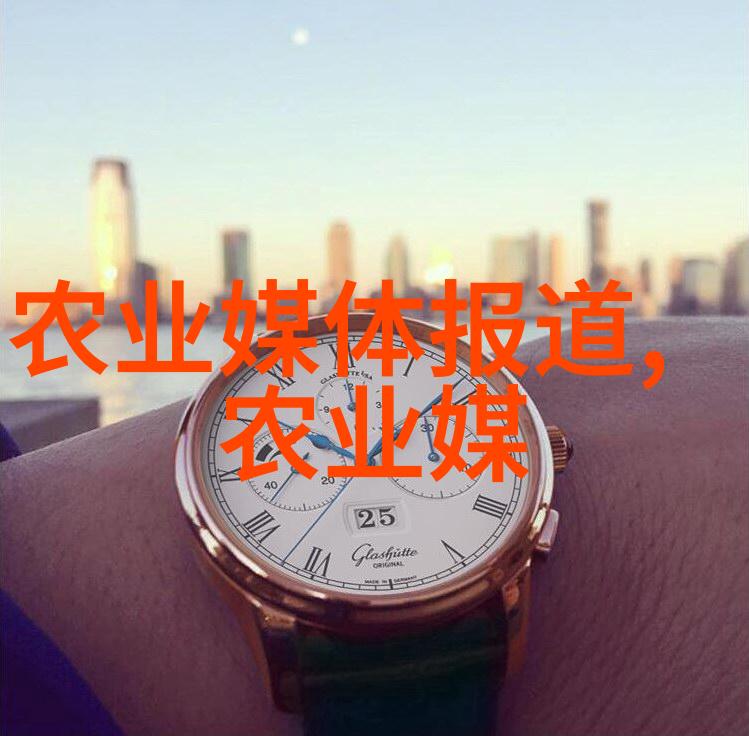 软件升级对于提高稻谷烘干机效率和质量有什么作用吗