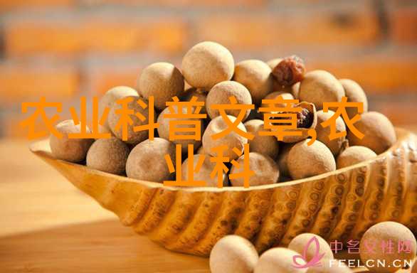 在家水培蔬菜的危险绿意盎然背后的隐患