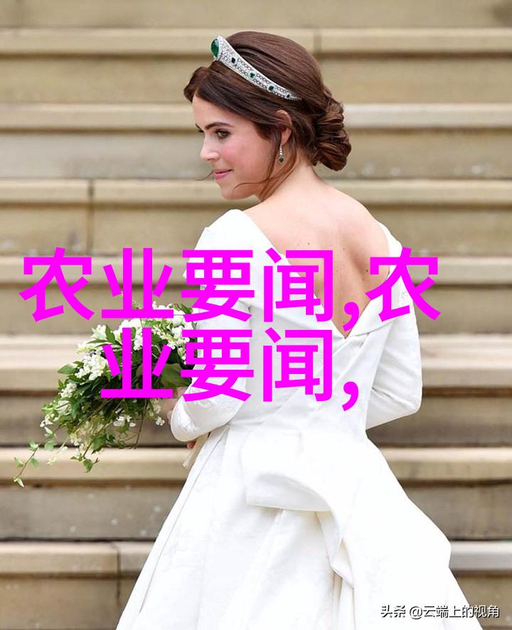 图1: 中型农机操作示意图