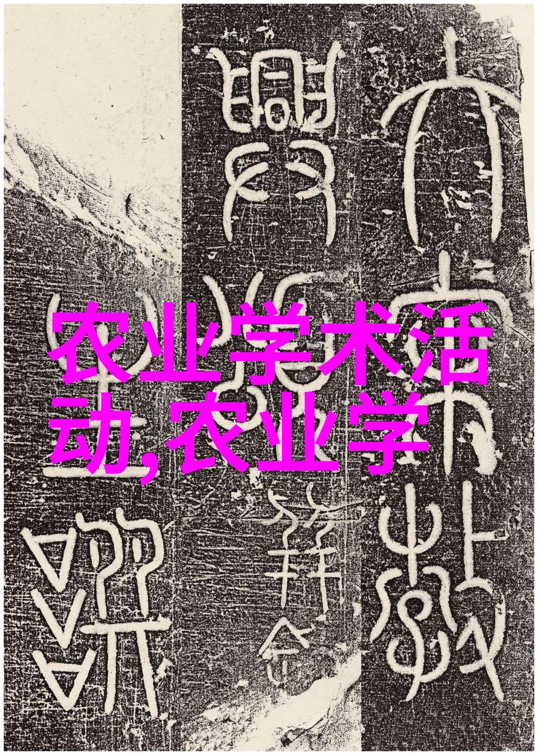 茶饮料在健康生活中的作用