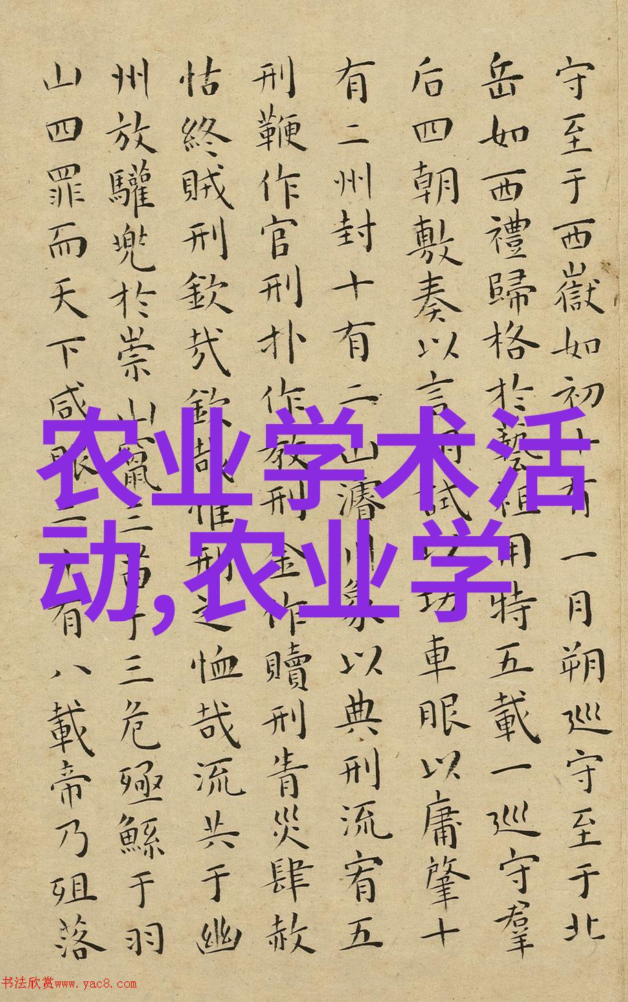 自制生活没工具怎么顶自己创造力与资源的巧妙运用