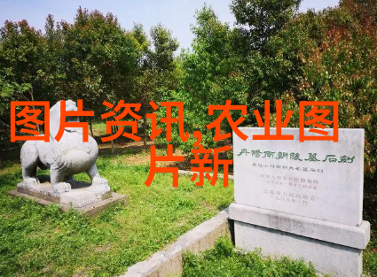 种植中草药的未来发展前景